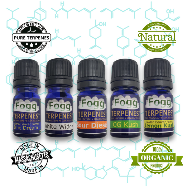 FOGG TERPENES - Best Sellers Collection