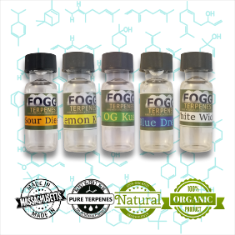 FOGG TERPENES - Best Sellers Collection - Fogg Terpenes,  - Terpenes, Fogg Flavors - Fogg Flavor Labs, LLC., Fogg Flavors - Fogg Flavors