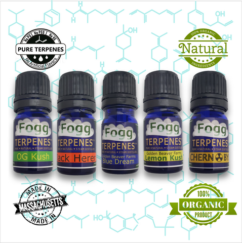FOGG TERPENES - Couchlock Collection